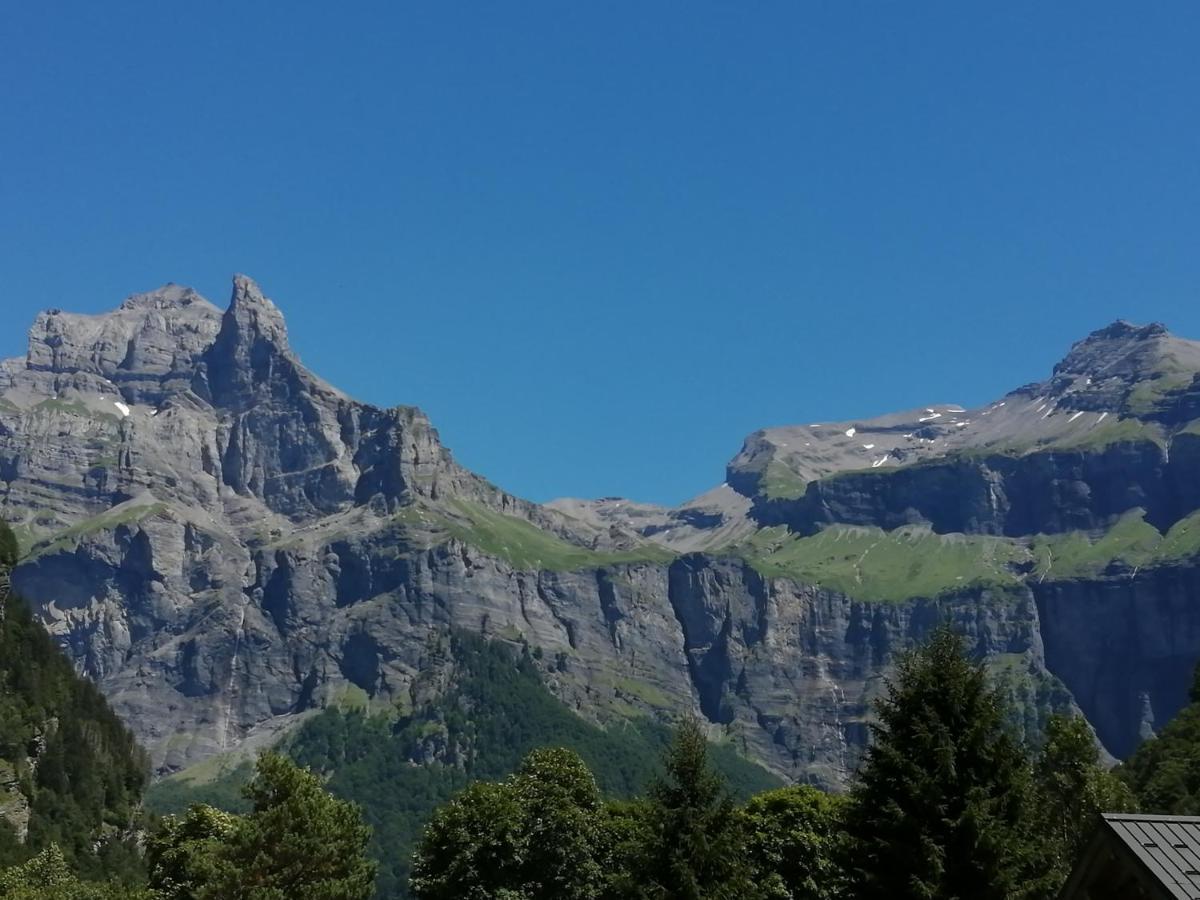La Corne Du Chamois Sixt